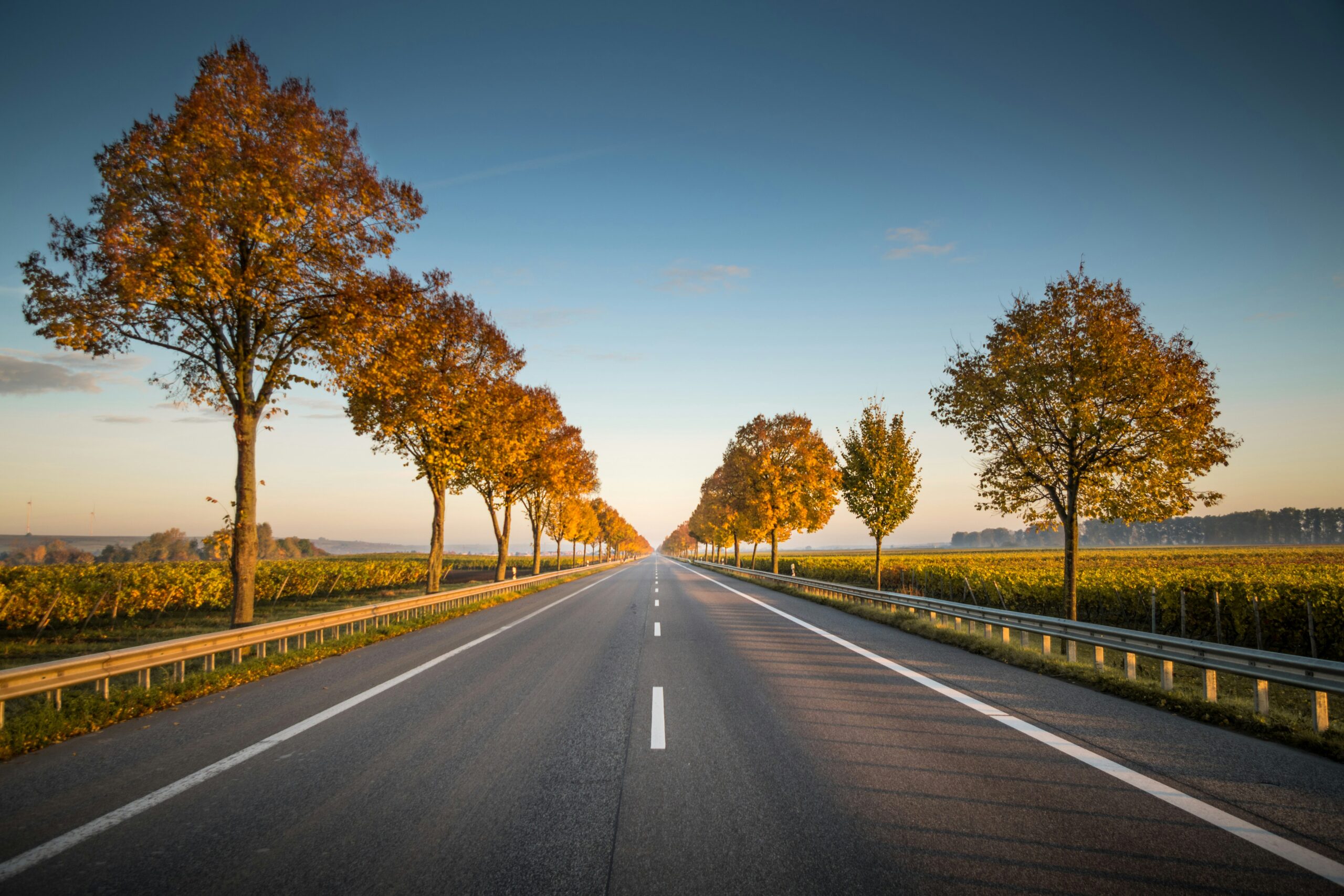 karsten-wurth-rafblRbne3o-unsplash journey to wholeness